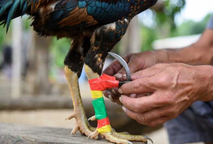 Bài tập thăng bằng và xoay hông